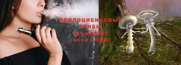 ПСИЛОЦИБИНОВЫЕ ГРИБЫ Балабаново