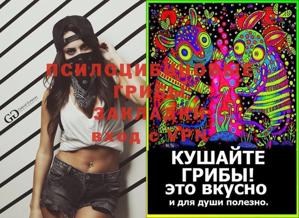 ПСИЛОЦИБИНОВЫЕ ГРИБЫ Балабаново