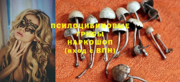 ПСИЛОЦИБИНОВЫЕ ГРИБЫ Балабаново