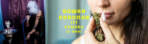 ПСИЛОЦИБИНОВЫЕ ГРИБЫ Балабаново