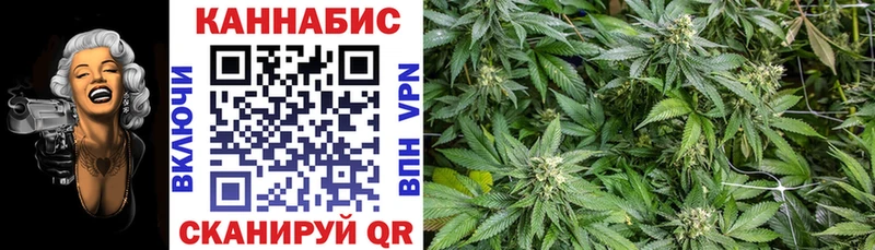сколько стоит  Циолковский  Бошки марихуана THC 21% 